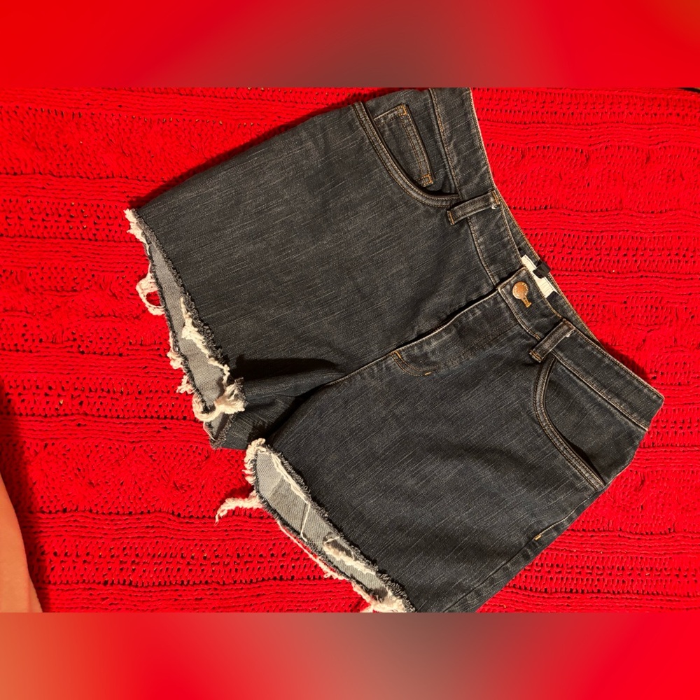 Jones New York signature Jean shorts